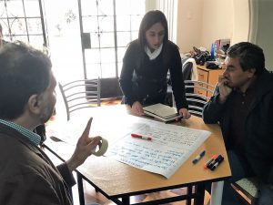 Assessing evidence use in Peru.
