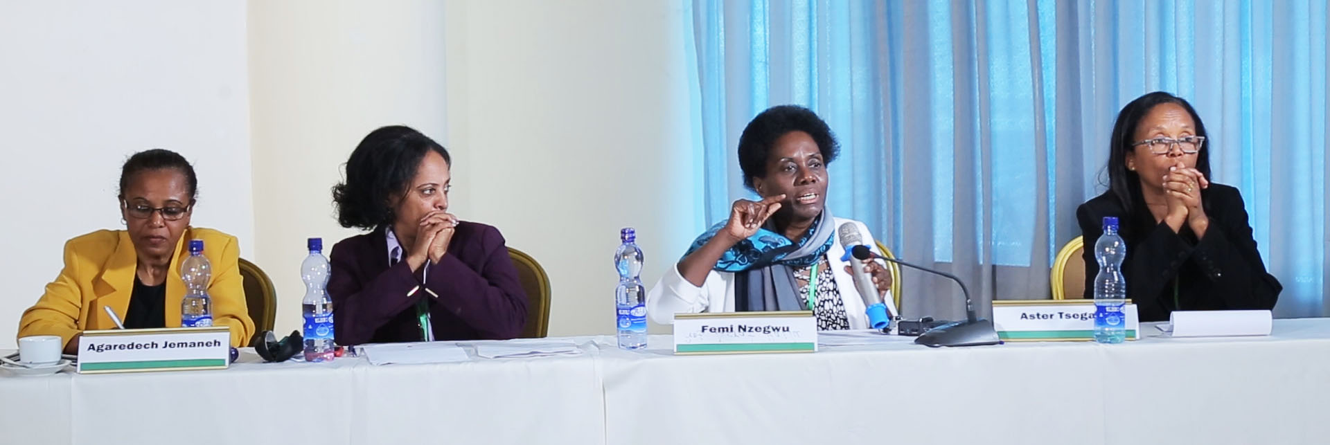 Gender discussions during Ethiopia dialogue event.