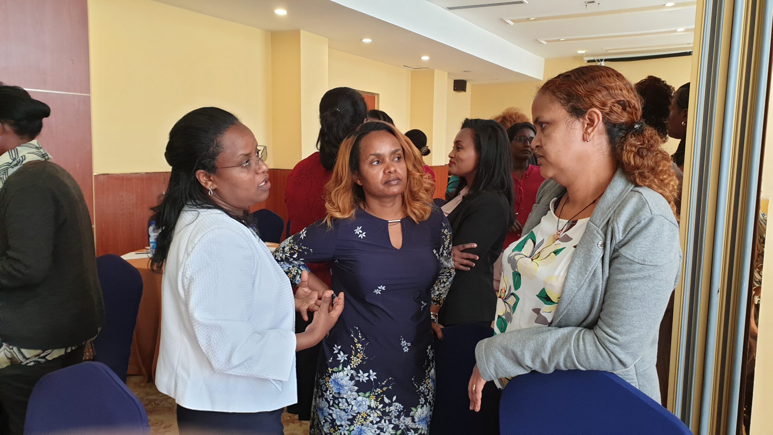Addressing gender issues in Ethiopian higher education and research institutions – stories from Ethiopian gender champions (part two)