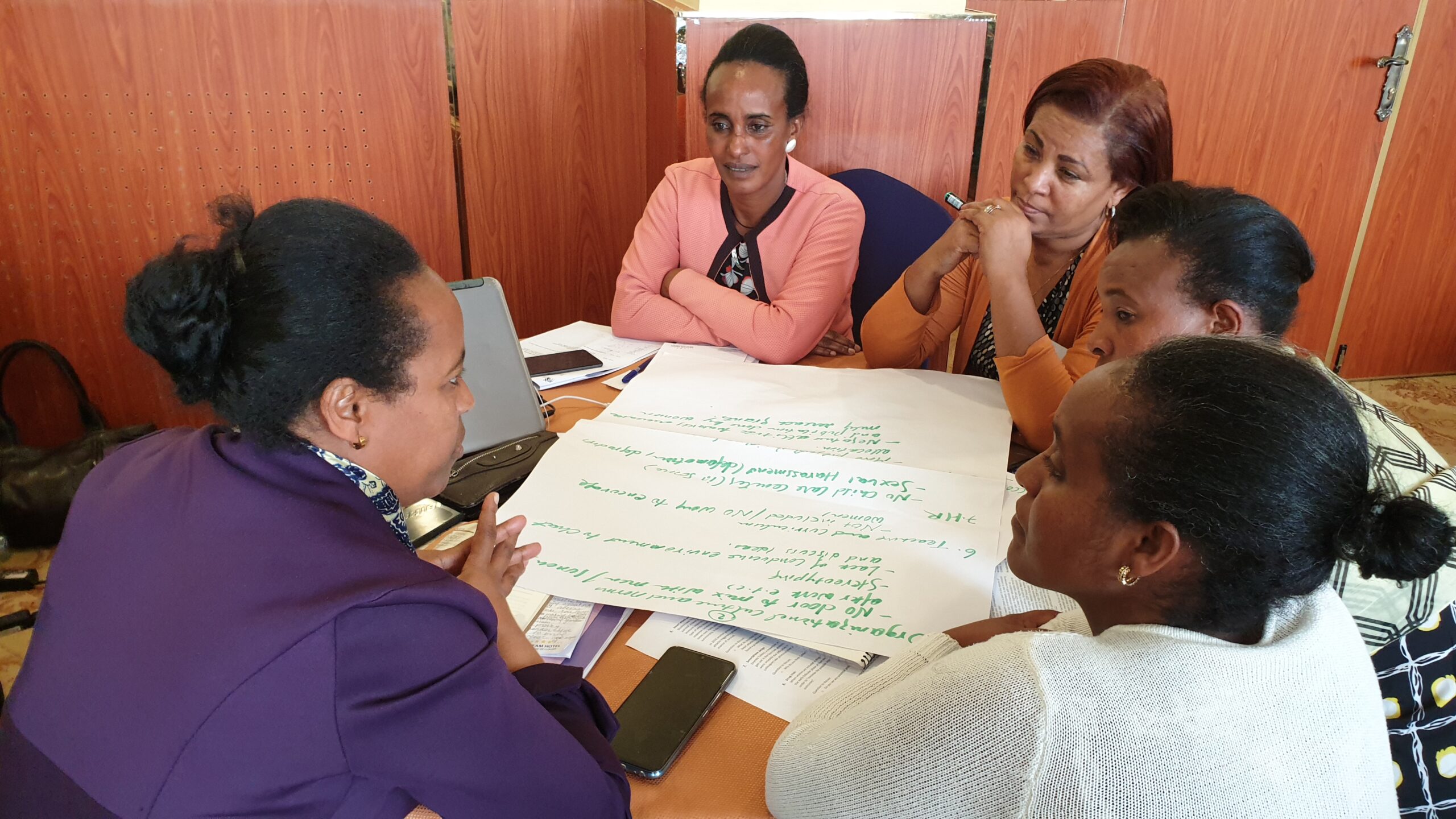 Gender champions engaging in discussions at the launch event of the Ethiopian Gender Learning Forum