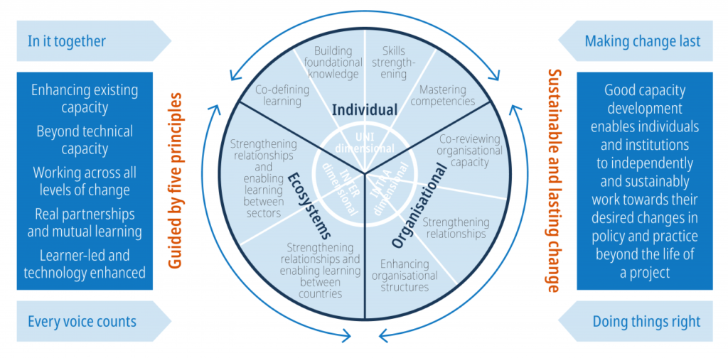 Graphic of INASP's learning and Capacity Development framework