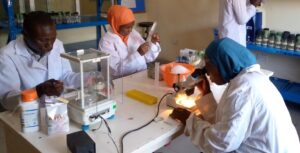 Postgraduate students working with Drosophila melanogaster at the Centre for Advanced Medical Research and Training, Usmanu Danfodiyo University, Sokoto, Nigeria