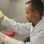 An Ethiopian researcher doing work in a laboratory